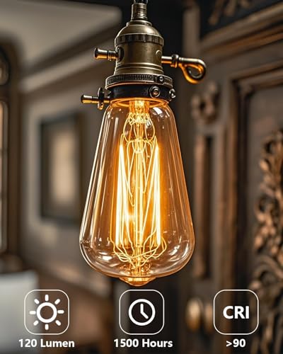 E26 LED Edison Bulbs 6