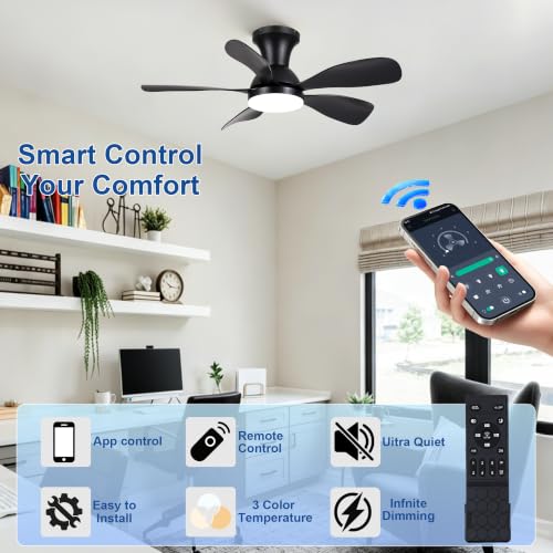Ceiling Fan for Bedroom