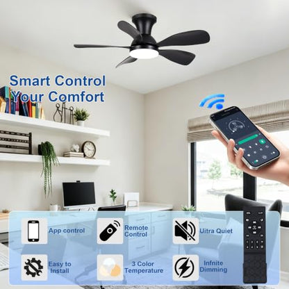Ceiling Fan for Bedroom