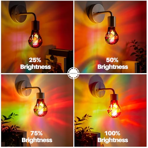 E26 6W Dimmable Stained Glass LED Light Bulb