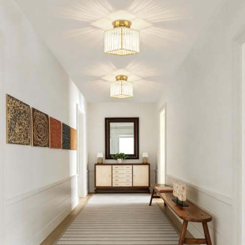 2 Pack Crystal Ceiling Light Fixtures