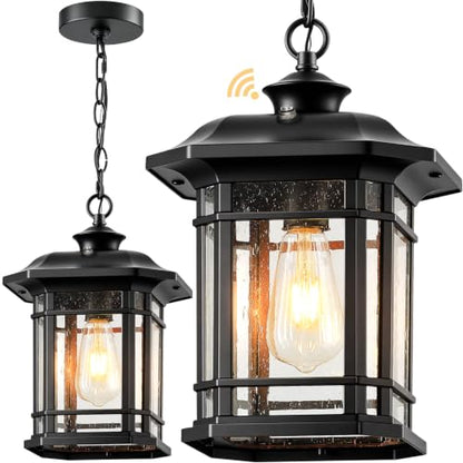 P8308P Outdoor Pendant Light