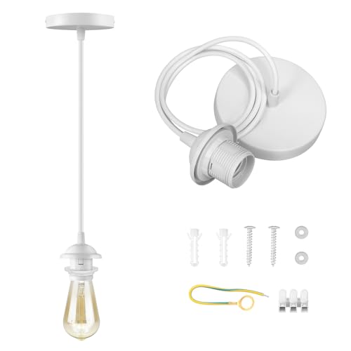 Plug in Hanging Light Kit