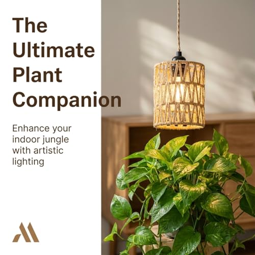 Dimmable Boho Hanging Lamp with Plug in Cord