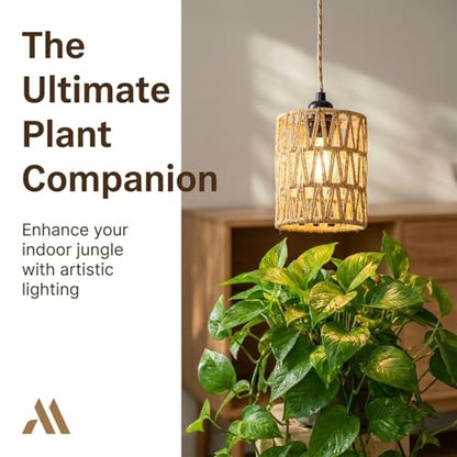 Dimmable Boho Hanging Lamp with Plug in Cord