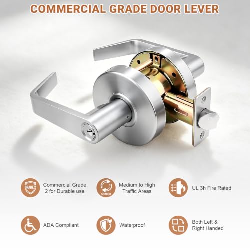 Commercial Door Handle