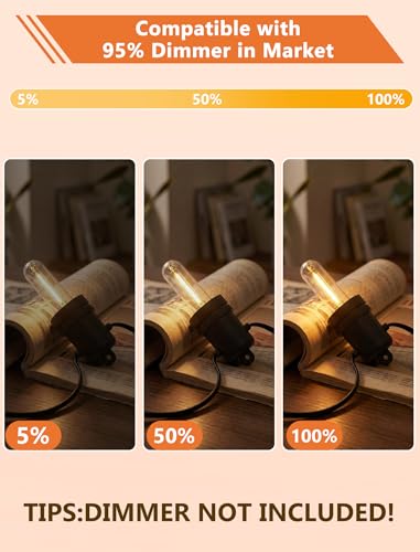 Edison LED Replacement Bulbs for Outdoor String Lights