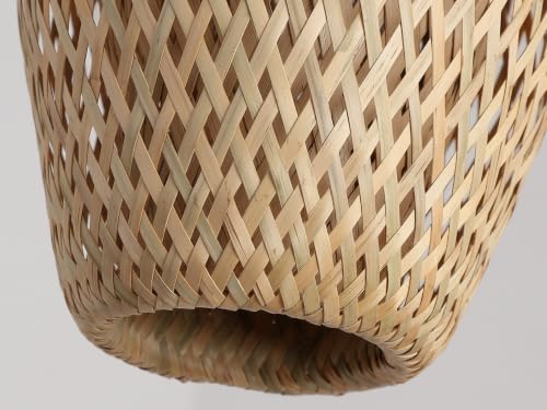 3901012H Pendant Light