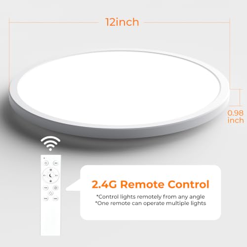 RGB LED Flush Mount Ceiling Light with Remote