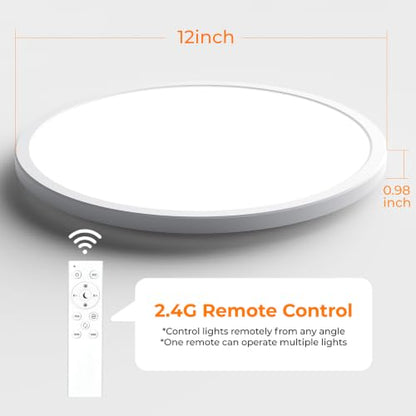RGB LED Flush Mount Ceiling Light with Remote