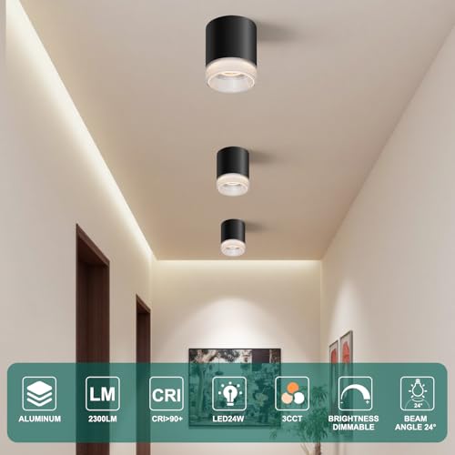 Ceiling Light Fixtures for Hallway Kitchen Entryway