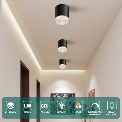 Ceiling Light Fixtures for Hallway Kitchen Entryway