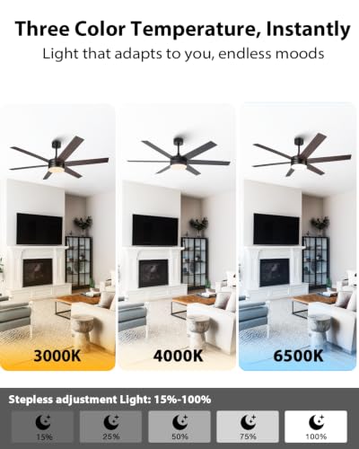 Large Ceiling Fan with Lights