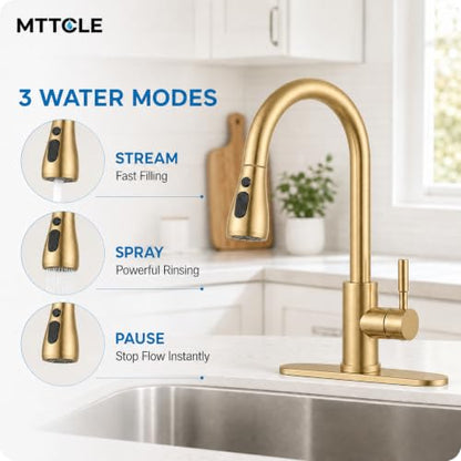Commercial Kitchen Faucet with Pull Down Sprayer