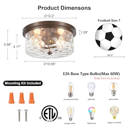 Ceiling Lights