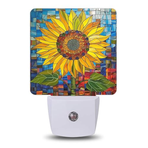 Night Light Night Lights Plug into Wall with Dusk to Dawn Sensor for Bedroom Bathroom Hallway Kitchen