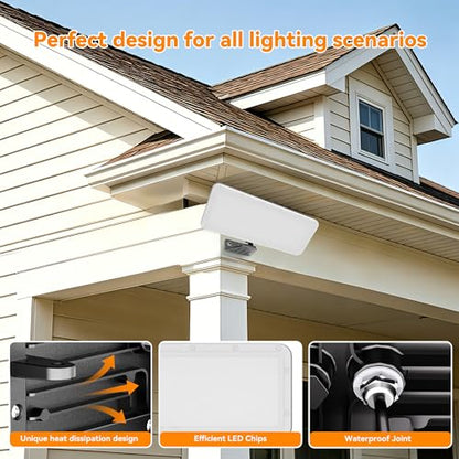 LED Flood Light 100W