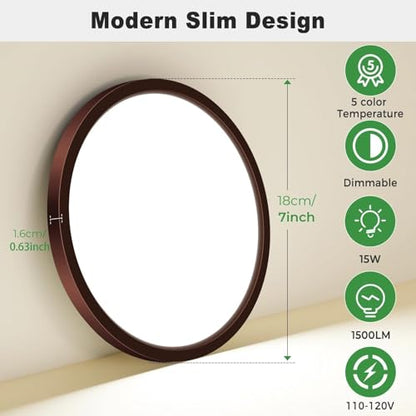 LED Flush Mount Ceiling Light