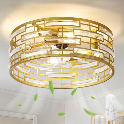 Caged Ceiling Fan with Light