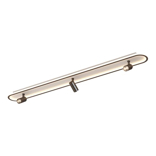 Linear Ceiling Lights