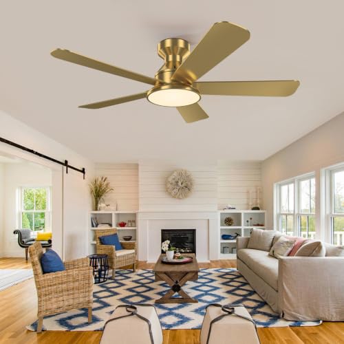 Ceiling Fans with Lights