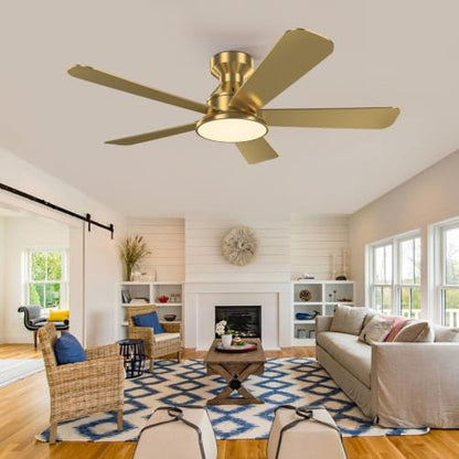 Ceiling Fans with Lights