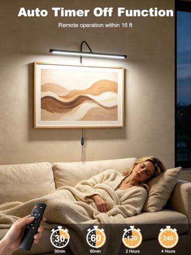 Plug in Picture Light for Wall