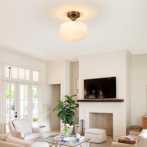 Ceiling Light Fixture