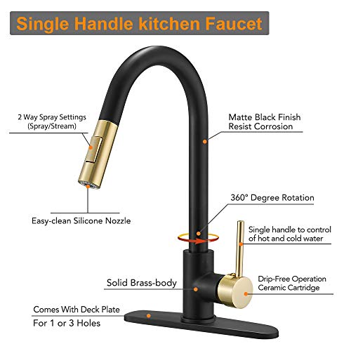 High Arc Single Handle Kitchen Sink Faucet With Pull Out Sprayer
