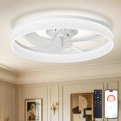 DLLT Modern Ceiling Fans with Lights