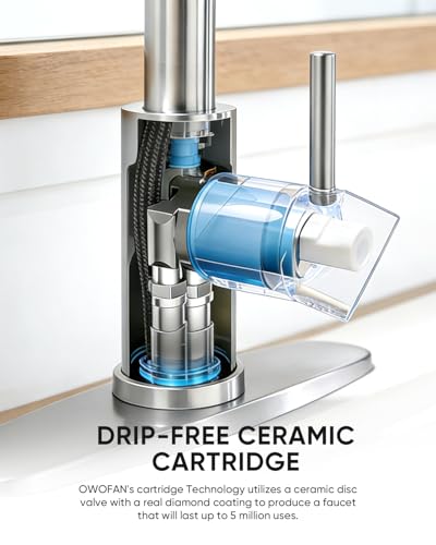 Kitchen Faucet 9009SN