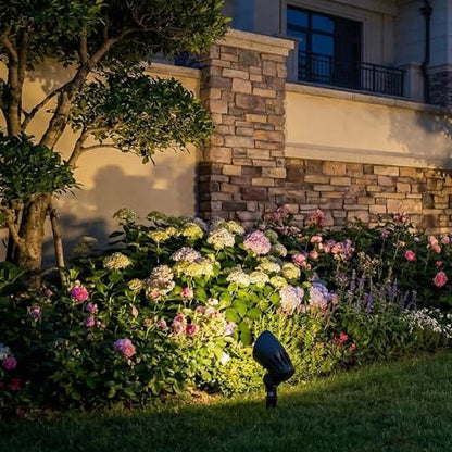 Low Voltage Landscape Lighting 12V 50W