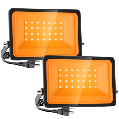 Halloween Flood Lights