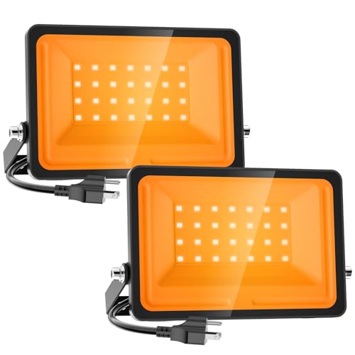 Halloween Flood Lights