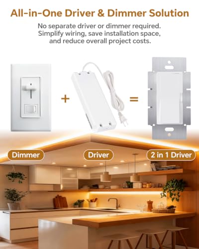 2 in 1 LED Driver
