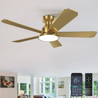 Ceiling Fans with Lights