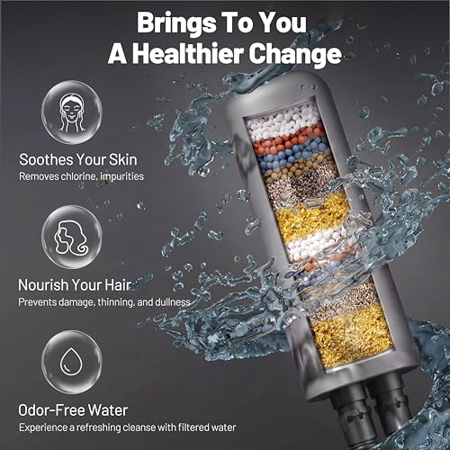 Dual Shower Head Combo with Filter