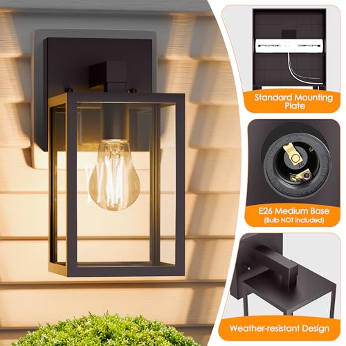 Outdoor Wall Light Fixture