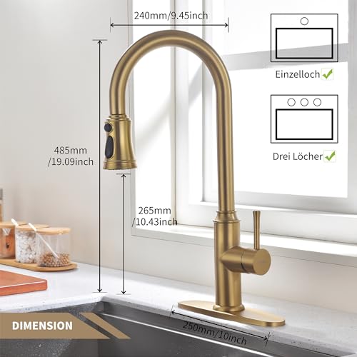 Kitchen Faucet with Pull Down Sprayer