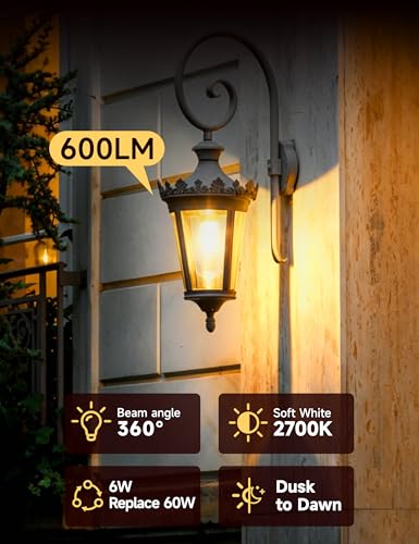 Dusk to Dawn Light Bulbs