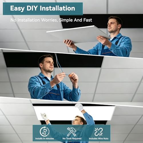 2 Pack 2x4 LED Flat Panel Light