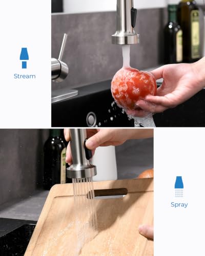 Kitchen Faucet with Pull Down Sprayer (Brushed Nickel)