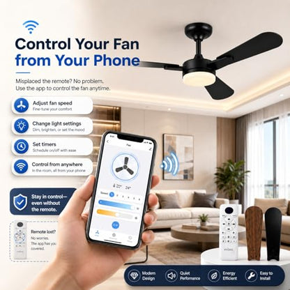 Ceiling Fans with Lights