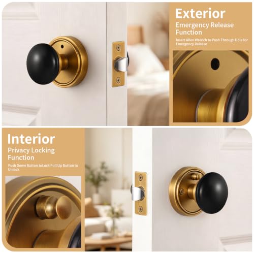 Porcelain Privacy Door Knob with Antique Brass Finish Base TC