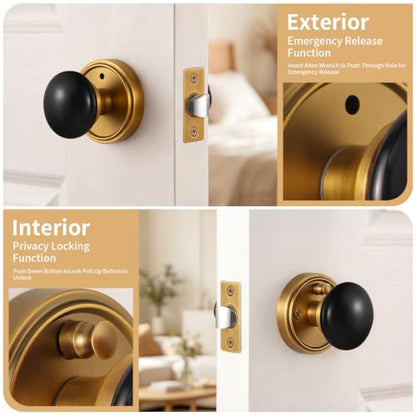 Porcelain Privacy Door Knob with Antique Brass Finish Base TC