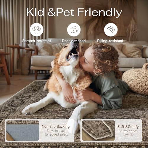 Brown Washable 8x10 Area Rugs for Living Room Bedroom (Retro | Brown / 8' x 10' (Rectangular))