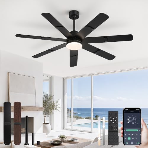 Ceiling Fans with Lights