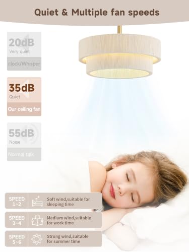 Ceiling Fans with Lights