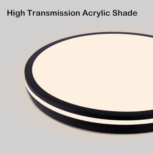 Contemporary Flush Mount Ceiling Light