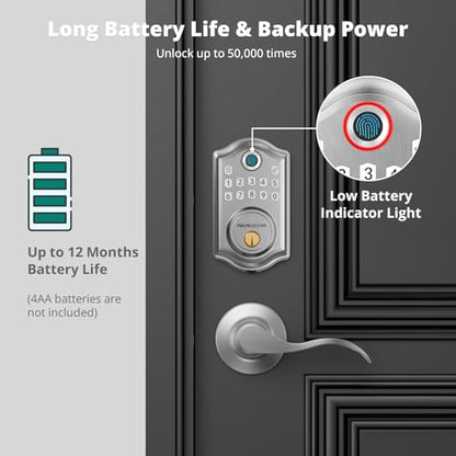 DS10 Pro Fingerprint Keyless Entry Door Lock with Lever Handle Set